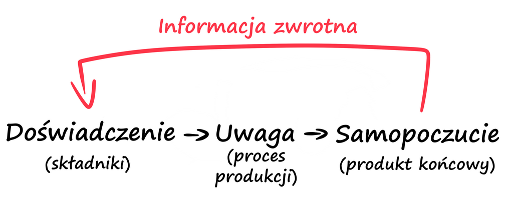 informacja zwrotna szczęście