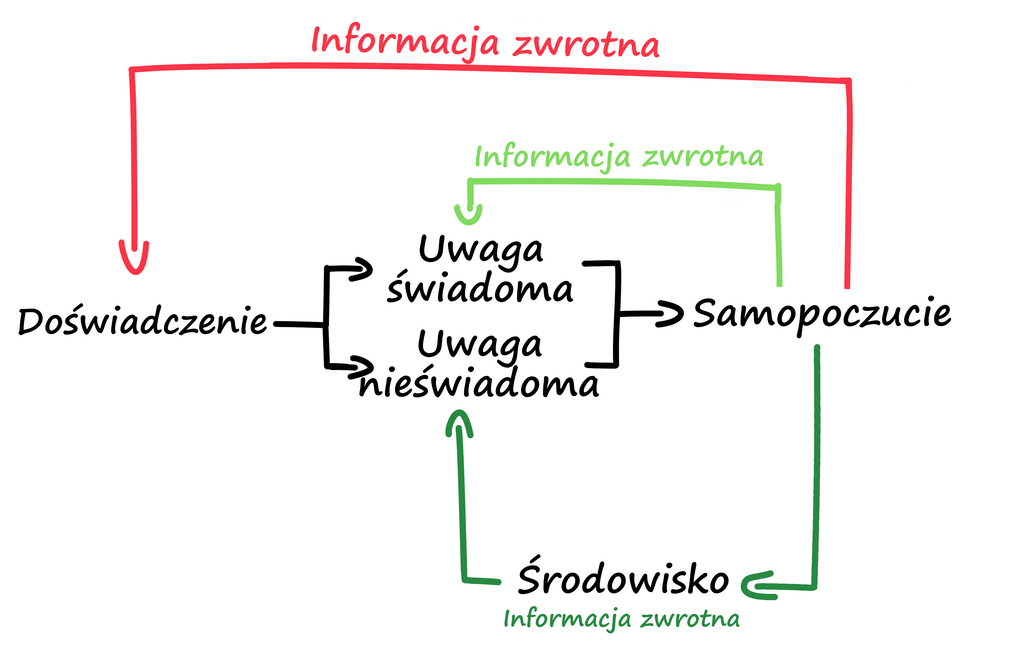 informacja z środowiska, a szczęście