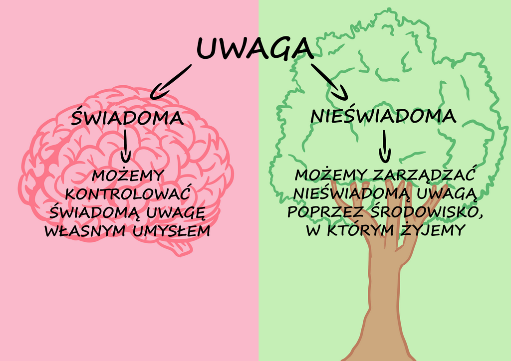 uwaga świadoma nieświadoma