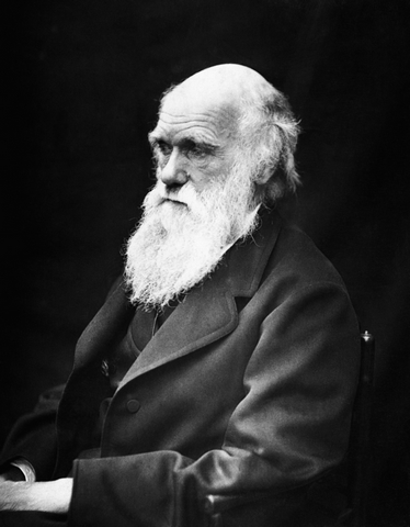 portret karola darwina