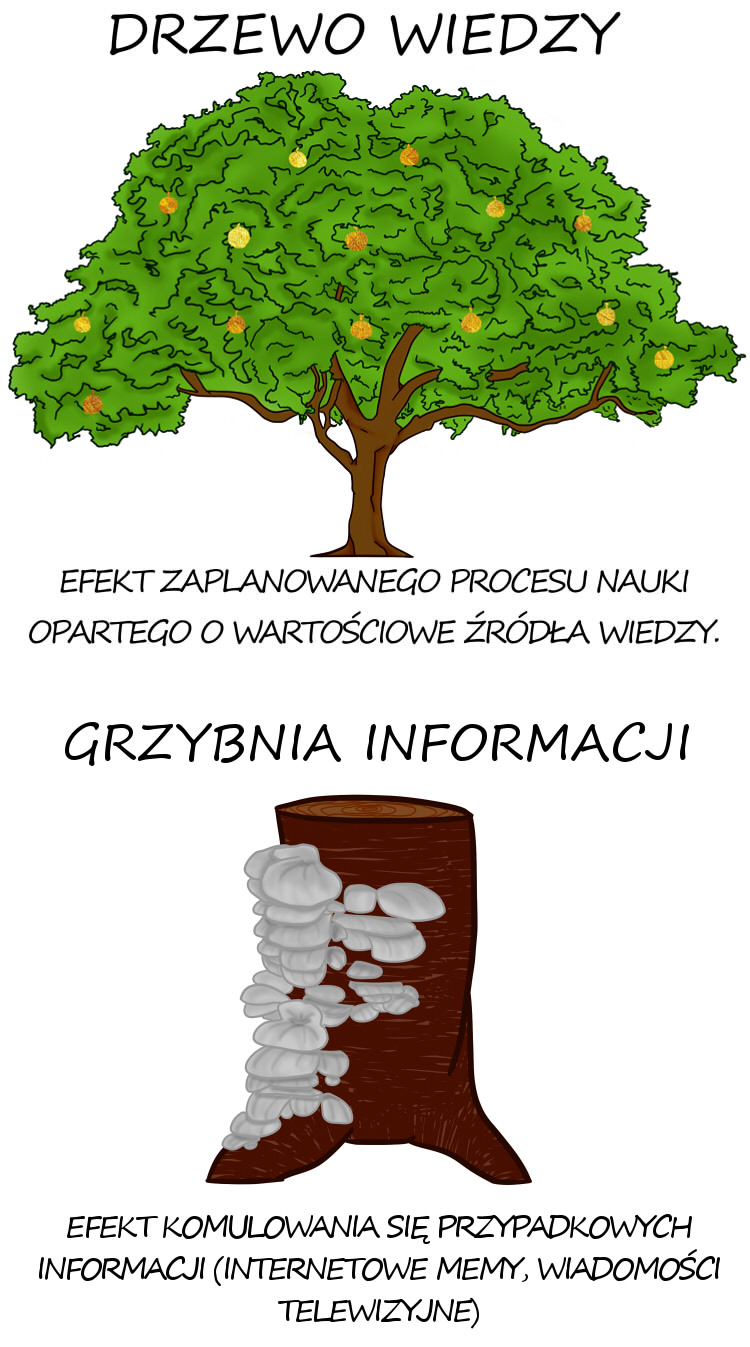 drzewo_wiedzy_grzyb_informacyjny